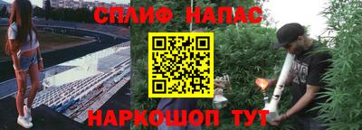 гидра Аргун