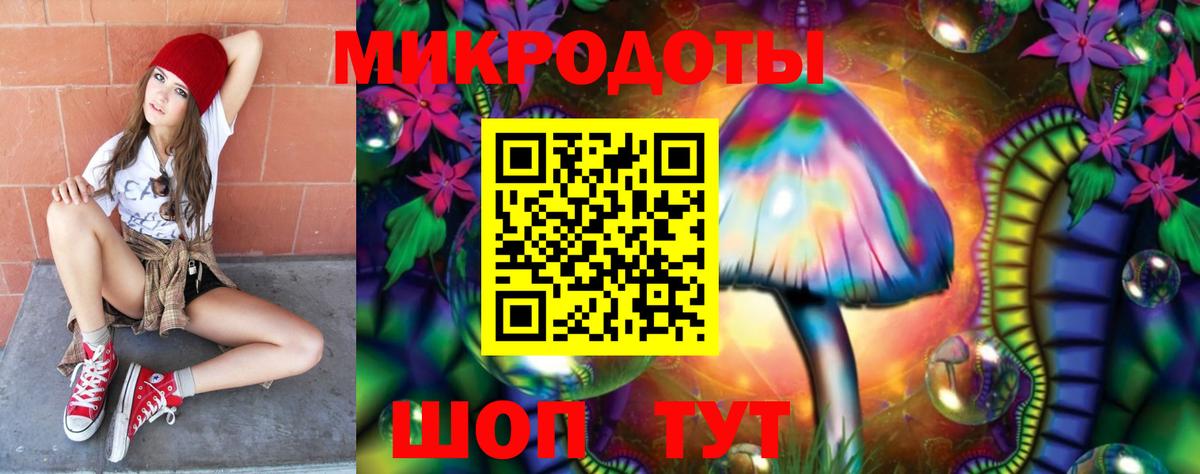 Галлюциногенные грибы ЛСД  Галлюциногенные грибы Magic Shrooms  Вход с VPN  Ачхой-Мартан 